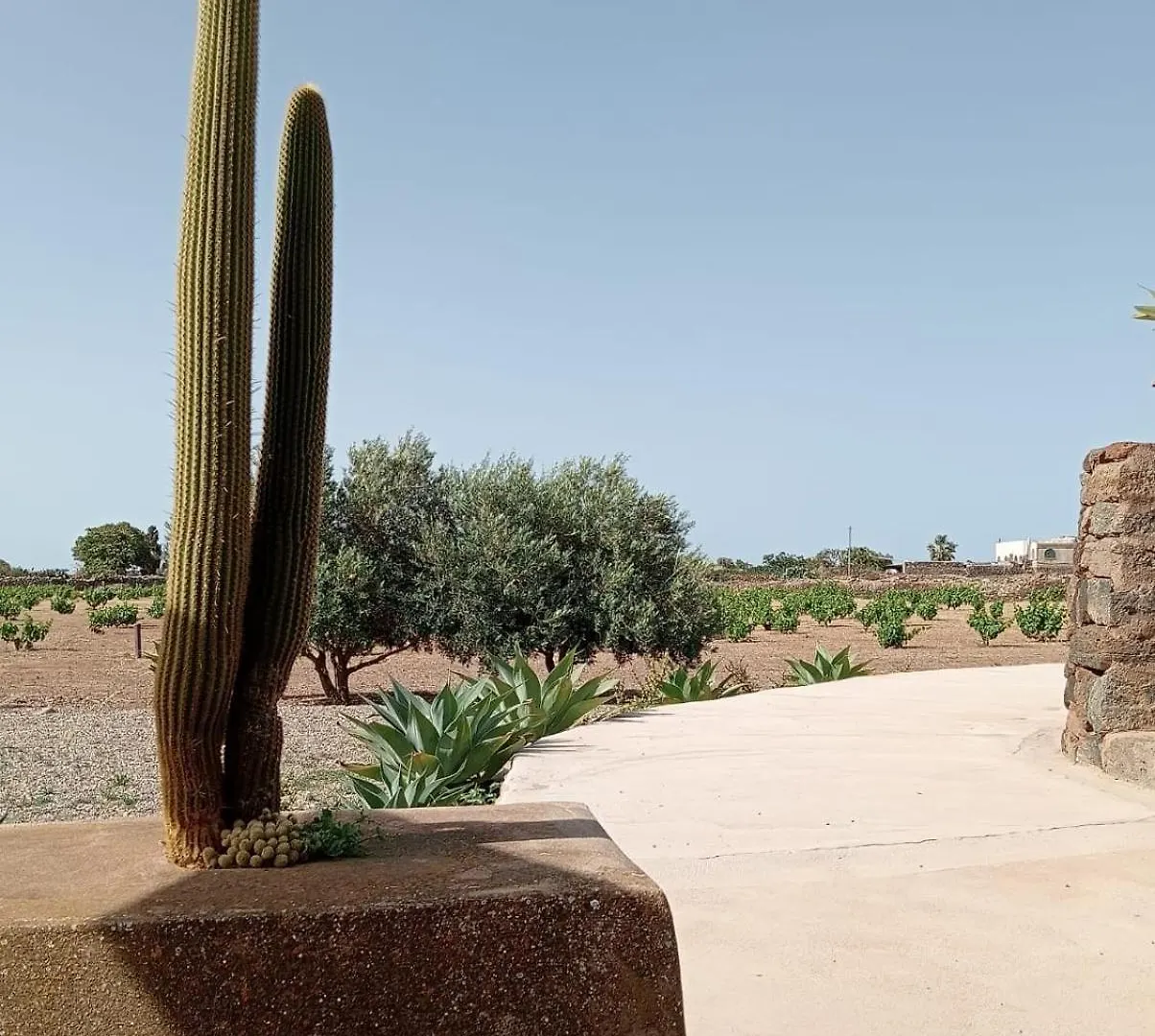 Dammuso Le Vigne Villa Pantelleria Holiday home